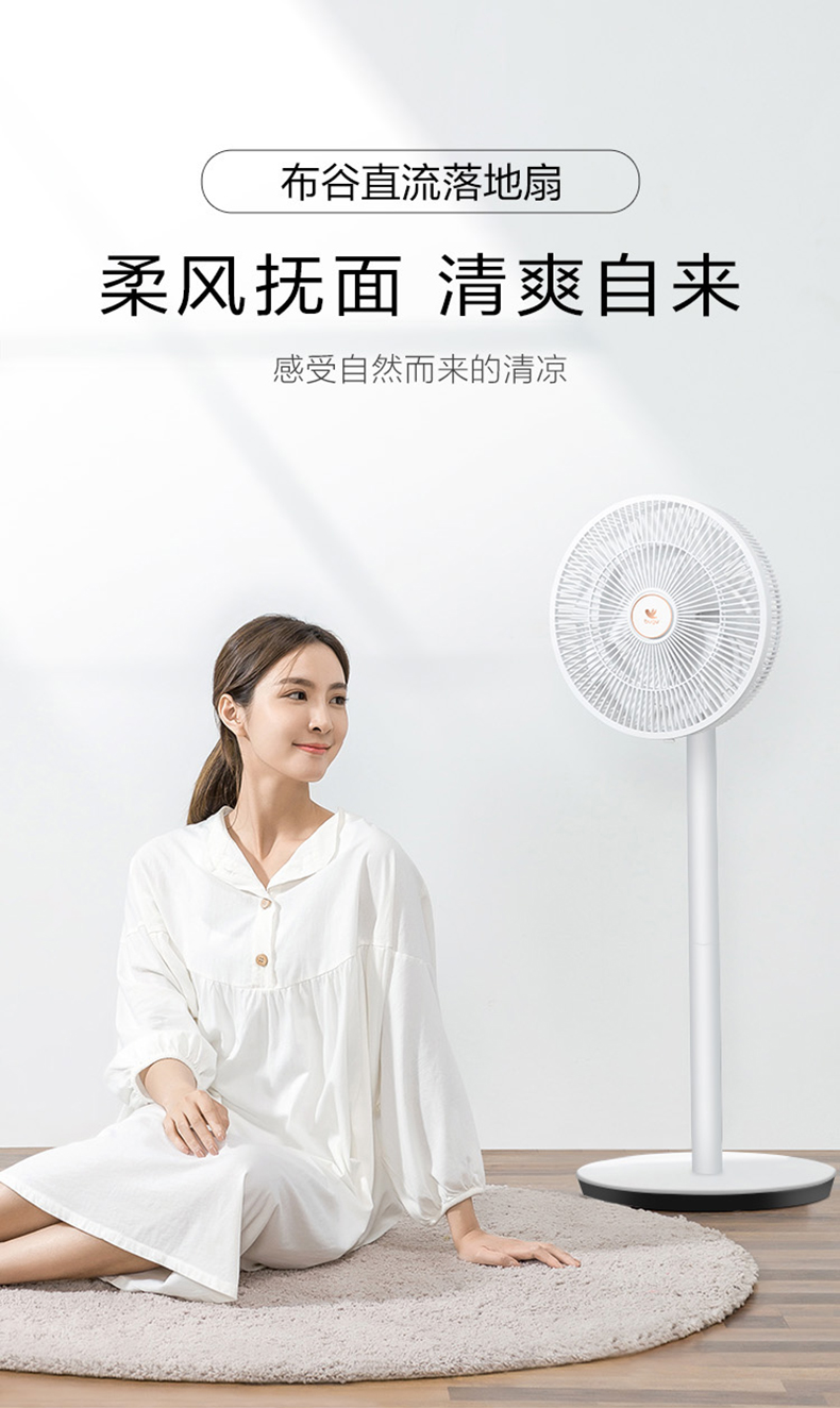 产品详情介绍