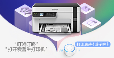 ID证卡复印模式 - Epson 2128产品功能